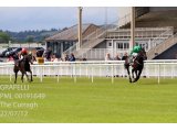 Grafelli, par Hannouma, double vainqueur de Gr.3 en Irlande à 2 ans