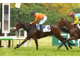 Bubble Sea à Maisons-Laffitte