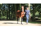 Sri Putra au Haras du Saz - Septembre 2015