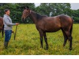 Kakao Blue 2020 h. Magician & Princesse Bleue - juin 2021