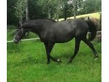 KLODINE 3ans