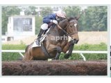 3è de Listed à Auteuil