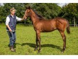 n. 2021 m. Ribchester & Red Dahlia - août 2021