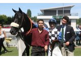 TELBES COURSE