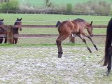 Coup de folie