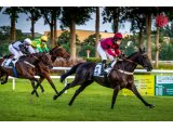 Victoire de Flasky au Lion d'Angers - 21 mai 2020