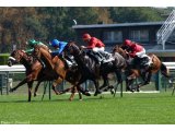 Prix du Moulin de Longchamp