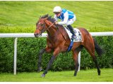 internaute canter