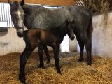 Héroïne Smart à la naissance