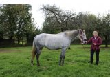 Enfollie (Gris de Gris & Katia Folle)