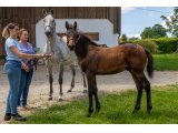n. 2021 m. Kapgarde & Sania Marceau - juin 2021