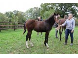 Ville Souveraine (Kingsalsa & Galantes Ivresses)
