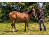 Ville Souveraine 2019 f. Kingsalsa & Galantes Ivresses