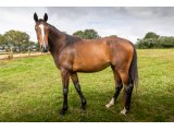 Heure d'Oudairies (Masked Marvel & Pythie d'Oudairies) - Juillet 2020
