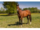 Hide The Key par Motivator et Hideaway - Avril 2021