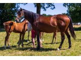 La Pleine Lune (Early March & Titi Jolie)