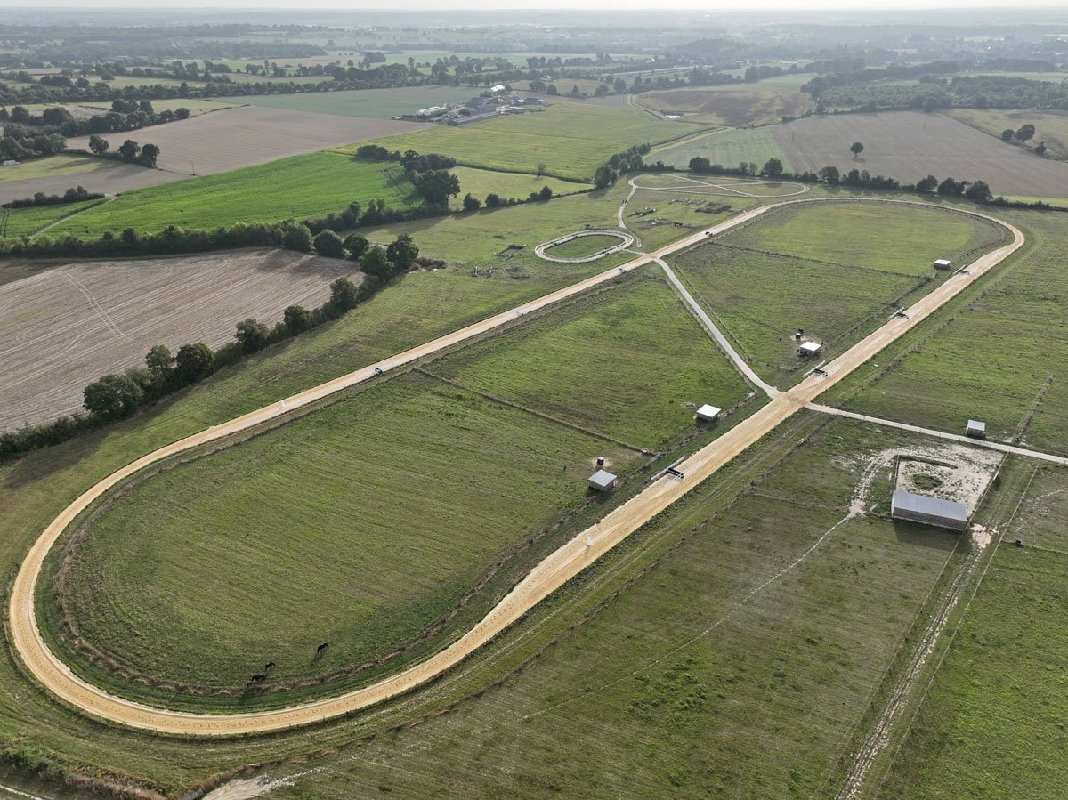 Conillon revient au Haras du Chêne Vert en 2020 - Anglocourse