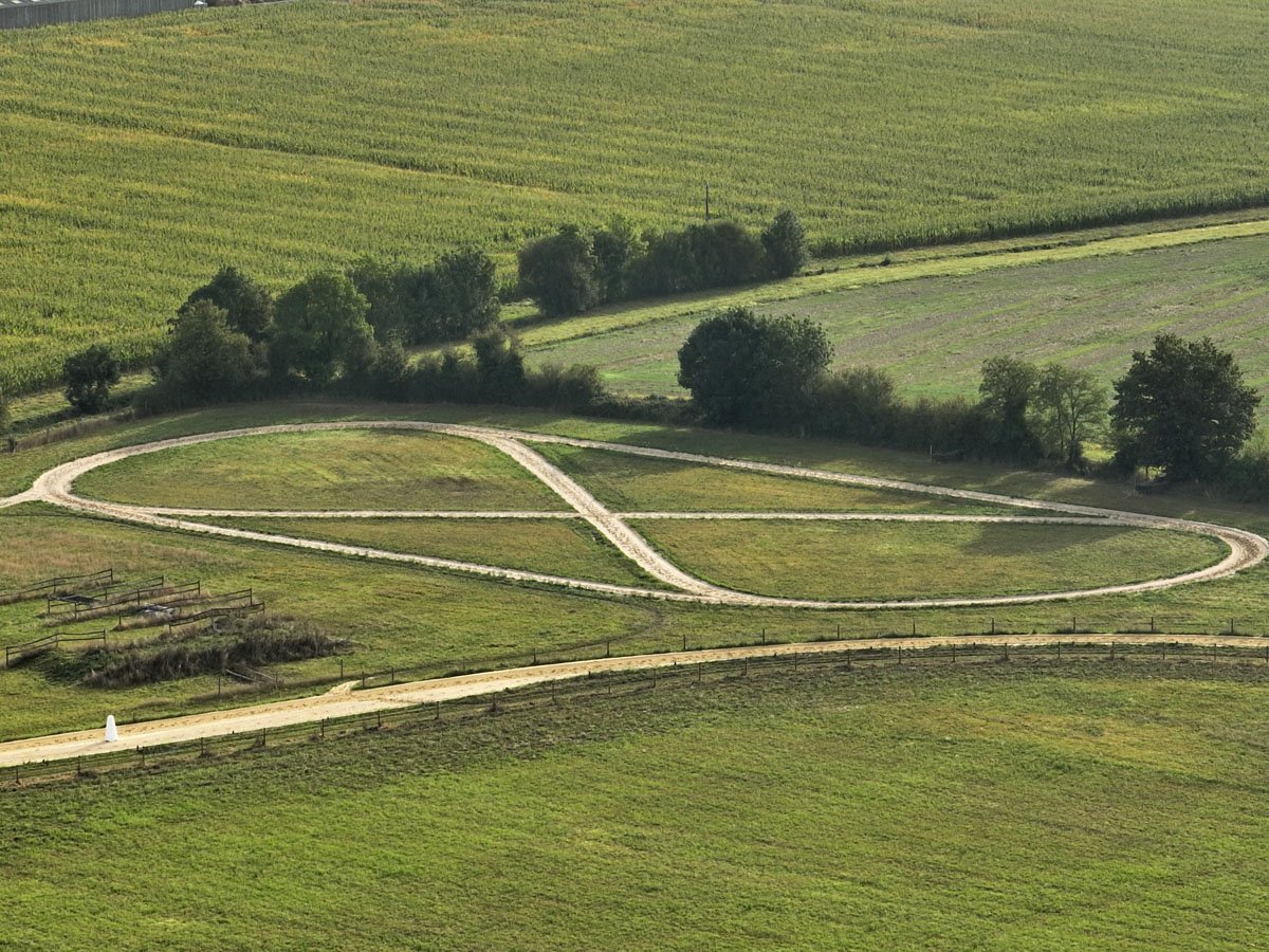 Conillon revient au Haras du Chêne Vert en 2020 - Anglocourse