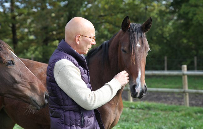 Femelle 2014 de Benevolo de Paban et Mossanne