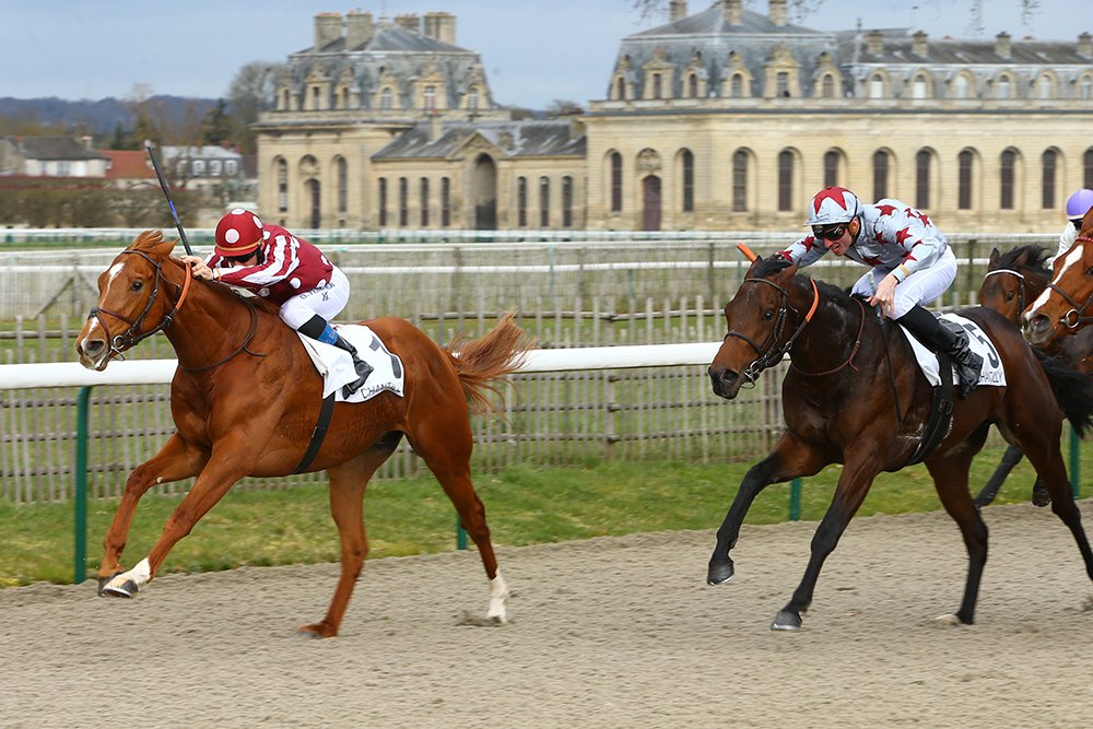 Qatar Bolt à Chantilly