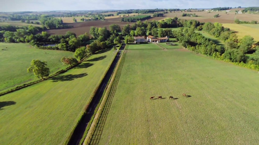 Haras des Granges