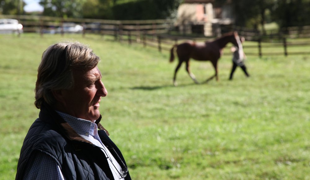 Haras des Granges - Mathieu Daguzan-Garros