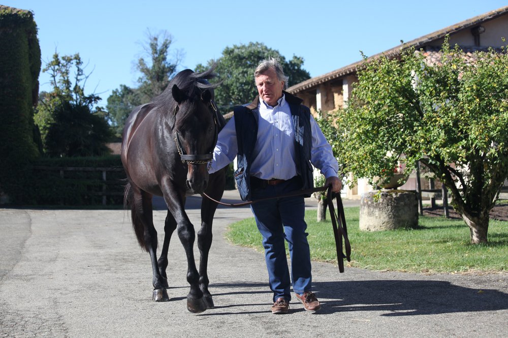 Haras des Granges - Mathieu Daguzan-Garros - Diamond Green