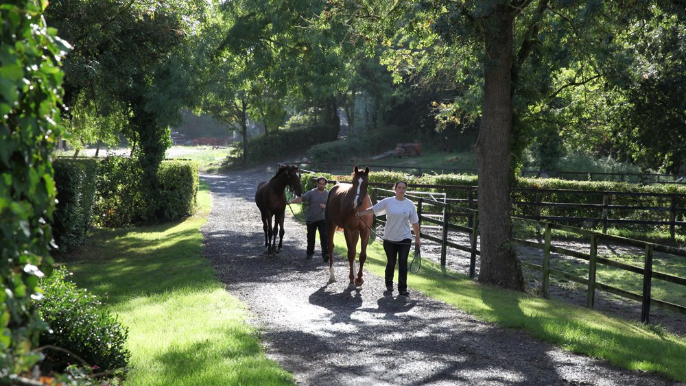 Haras des Granges