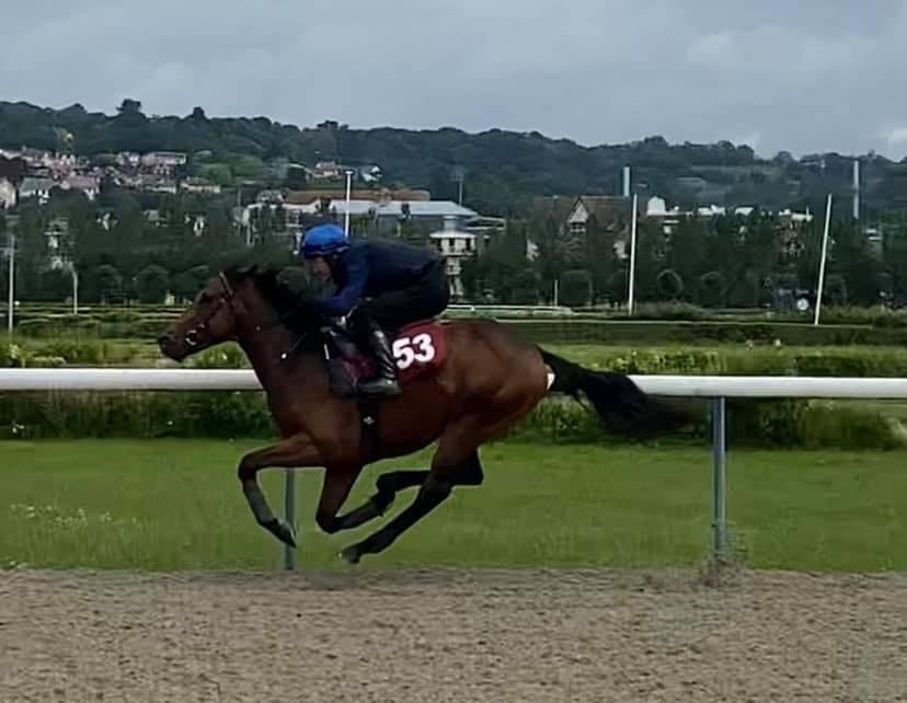 breeze up Deauville