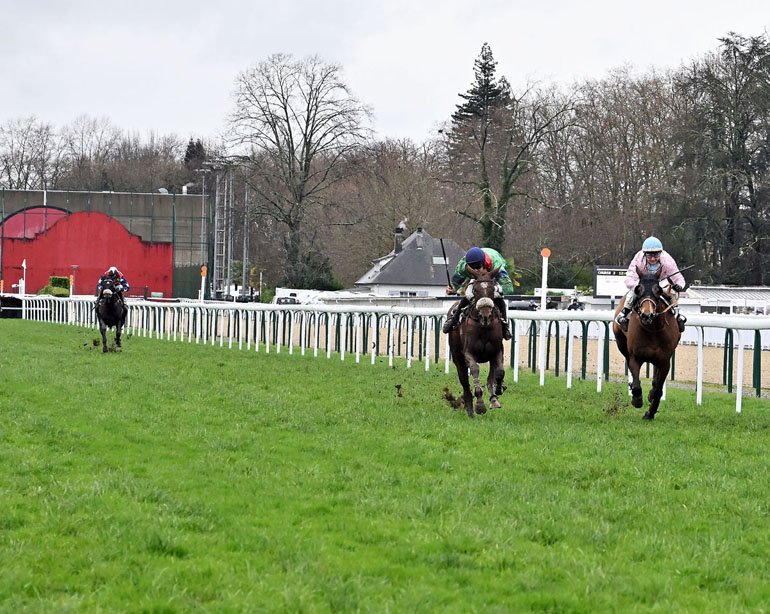 Hireine de Lagarde - Prix Charles de Ginestet - Grand Steeple-Chase des Anglo-Arabes (Pau, janvier 2023)