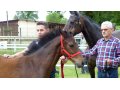 Grozni au Chaser Day 2016 avec Ivan et Bernard Dumont