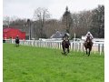 Hireine de Lagarde - Prix Charles de Ginestet - Grand Steeple-Chase des Anglo-Arabes (Pau, janvier 2023)