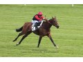 Concerto d'Allen, gagnante Prix René Couétil à Auteuil ( St 4 ans )