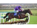 Saturnas, gagnant du Gr.1 Paddy Power Future Champions Novice Hurdle à Leopardstown