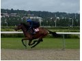 breeze up Deauville