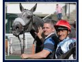 Valkyri Colombe et Jacques Ricou à Auteuil