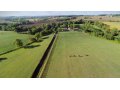 Haras des Granges Haras des Granges