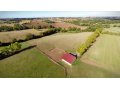 Haras des Granges Haras des Granges