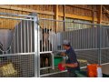 Dans le barn Dans le barn