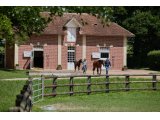 01 Haras de la Tuilerie - élevage PS