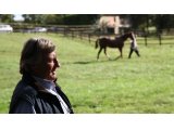 Haras des Granges - Mathieu Daguzan-Garros