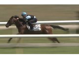 breeze up Deauville