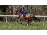 canter