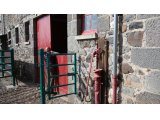 Elevage de Lagarde (Paul Couderc)