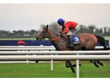 Envoi Allen gagnant de Listed en plat à Fairyhouse 