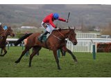 Envoi Allen Champion Bumper 2019