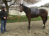 KOMGALL fin du débourrage