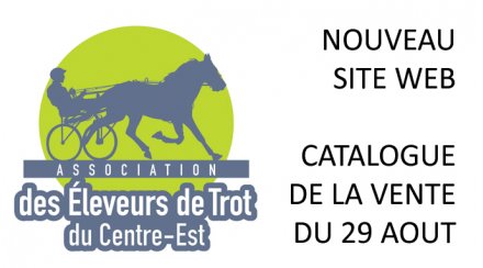 vente magny cours trotteur