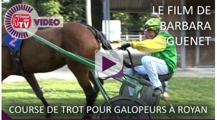 vente magny cours trotteur