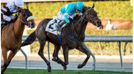 Zelzal lands his first group in the United States with Ouraika